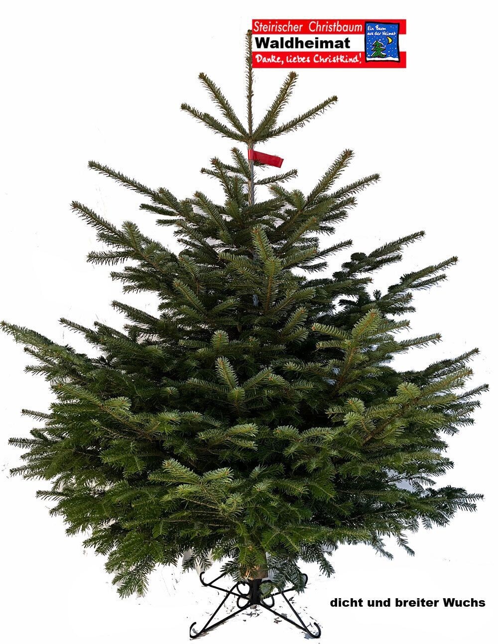 Nordmanntanne "Waldheimat" Preis incl. Versand bis max. 180cm