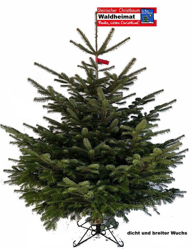 Nordmanntanne "Waldheimat" Preis incl. Versand bis max. 180cm