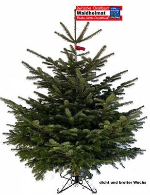 Nordmanntanne "Waldheimat" Preis incl. Versand bis max. 180cm