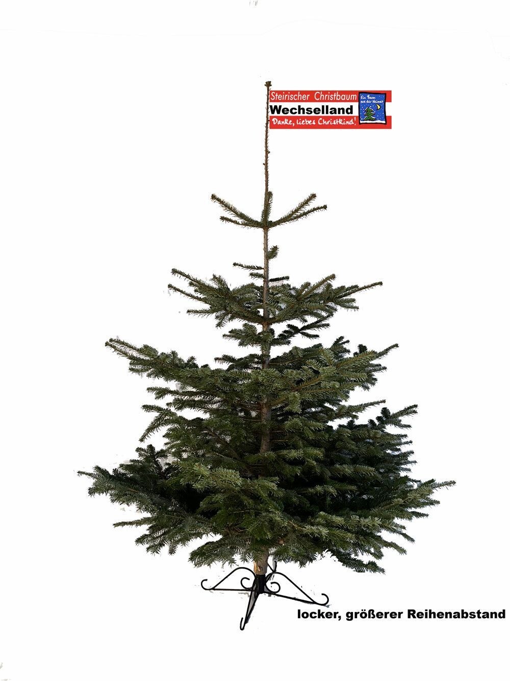 Nordmanntanne Nordmanntanne "Wechselland" Preis incl. Versand bis max. 180 cm