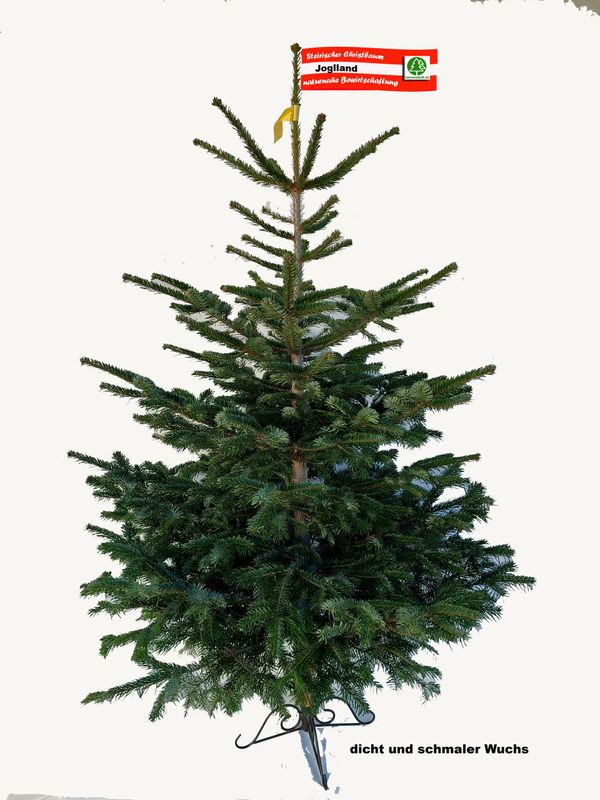 Nordmanntanne "Joglland" 100-250cm