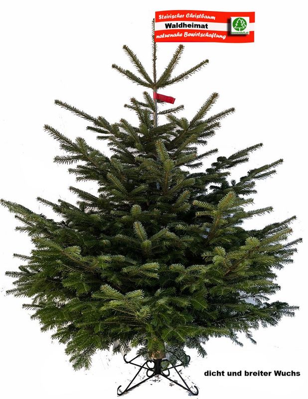 Nordmanntanne "Waldheimat" Preis incl. Versand bis max. 180cm