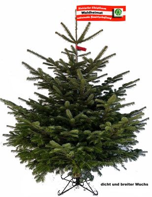 Nordmanntanne Nordmanntanne "Waldheimat" Preis incl. Versand bis max. 180cm