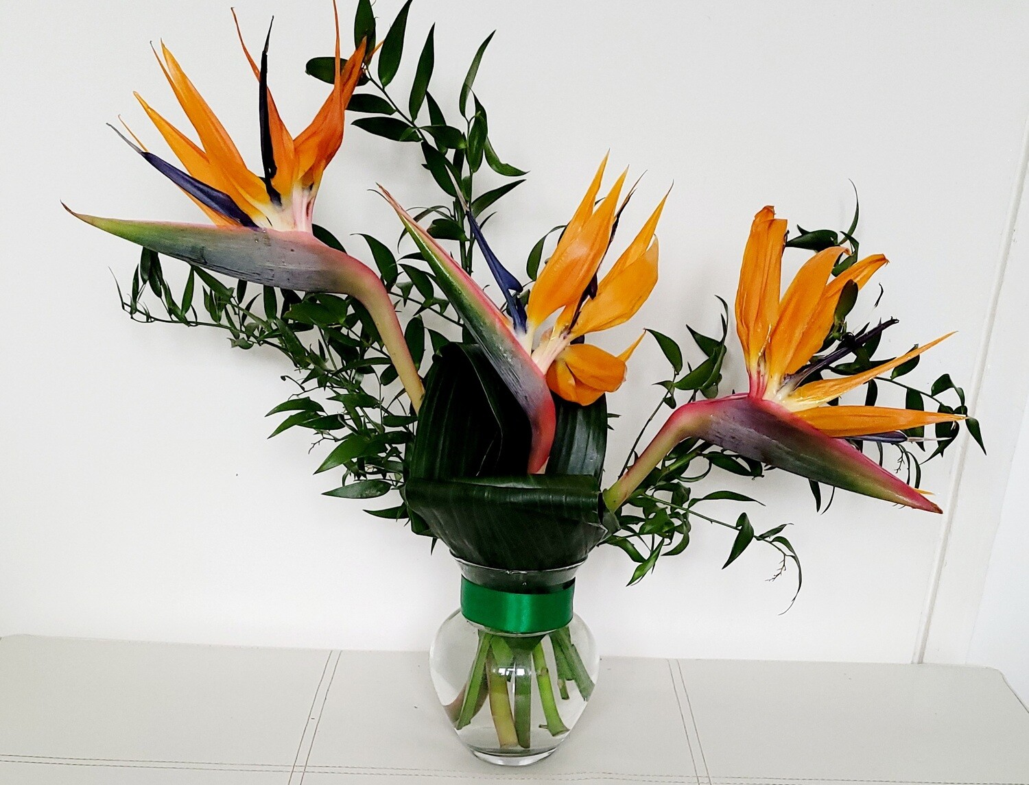 Strelitzia