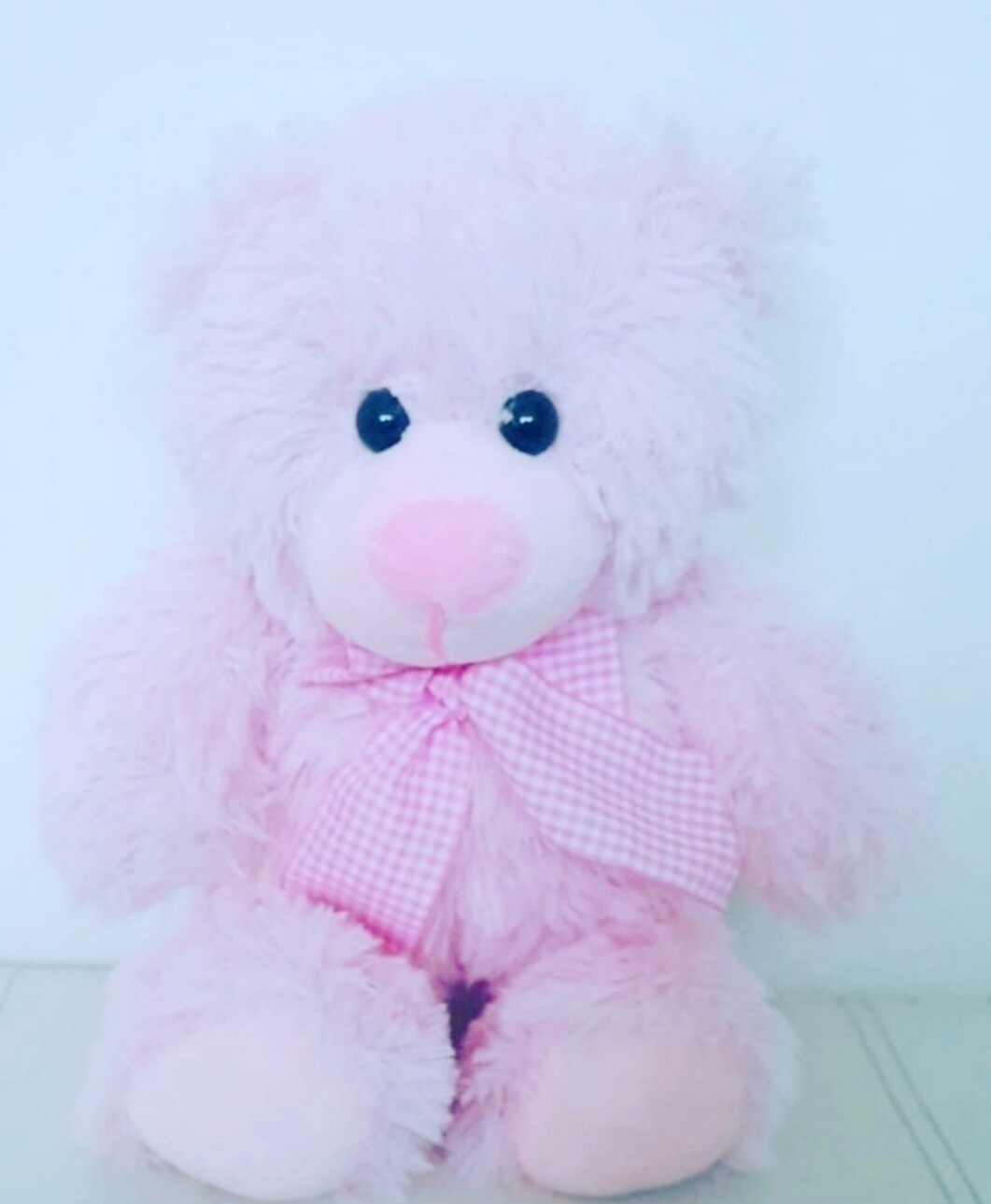 Star Springs Teddy Bear