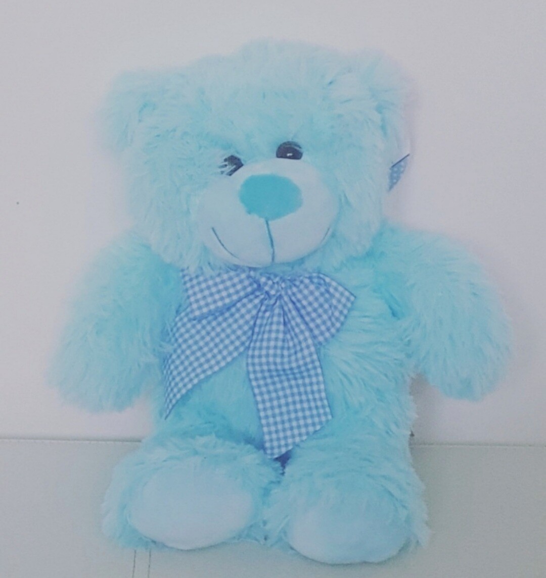 Star Springs Teddy Bear
