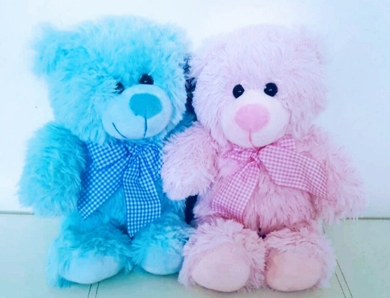 Star Springs Teddy Bear
