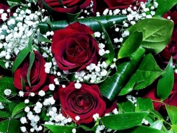 Romantic Red