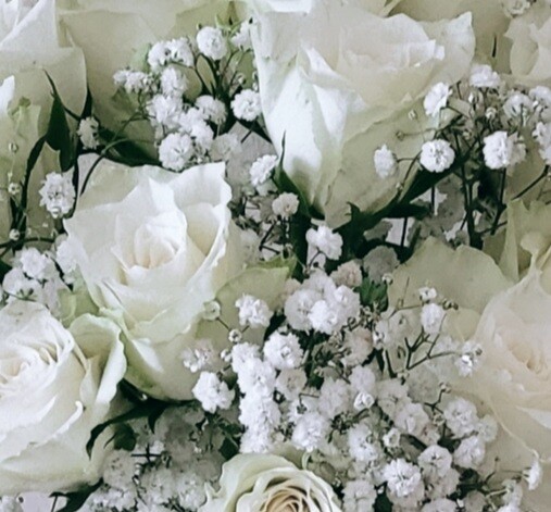 Moonlight Roses