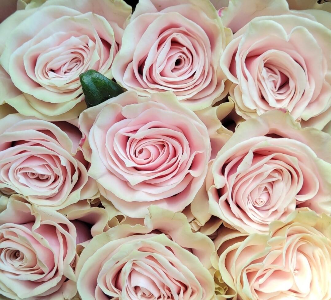 Payment Link Between Florists
