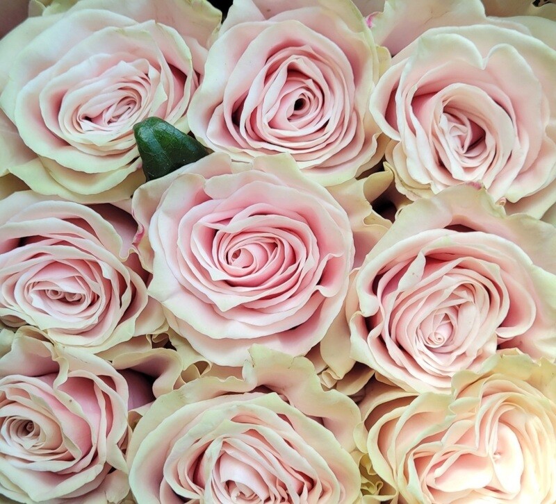 Payment Link Between Florists
