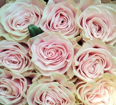 Payment Link Between Florists