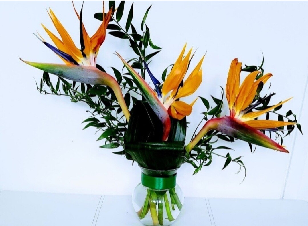 Contract Flowers