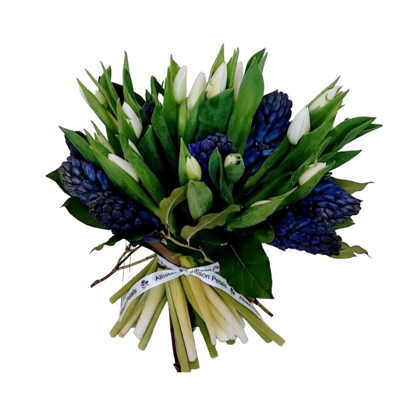 Blue Hyacinths and white Tulips