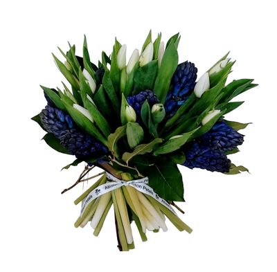 Blue Hyacinths and white Tulips