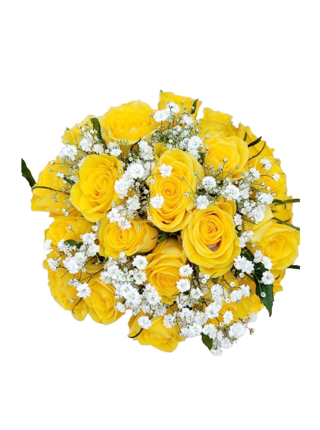 Yellow Roses