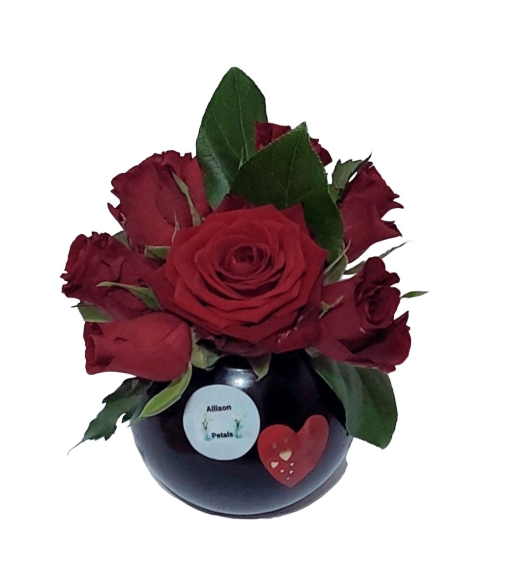 Roses in the Darkness