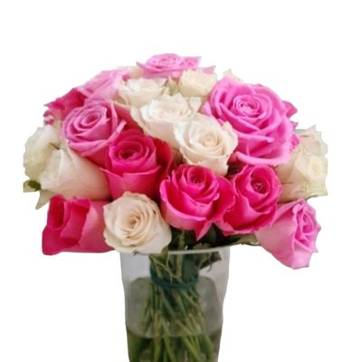 White and Pink