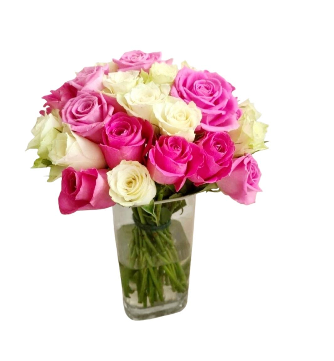 White and Pink