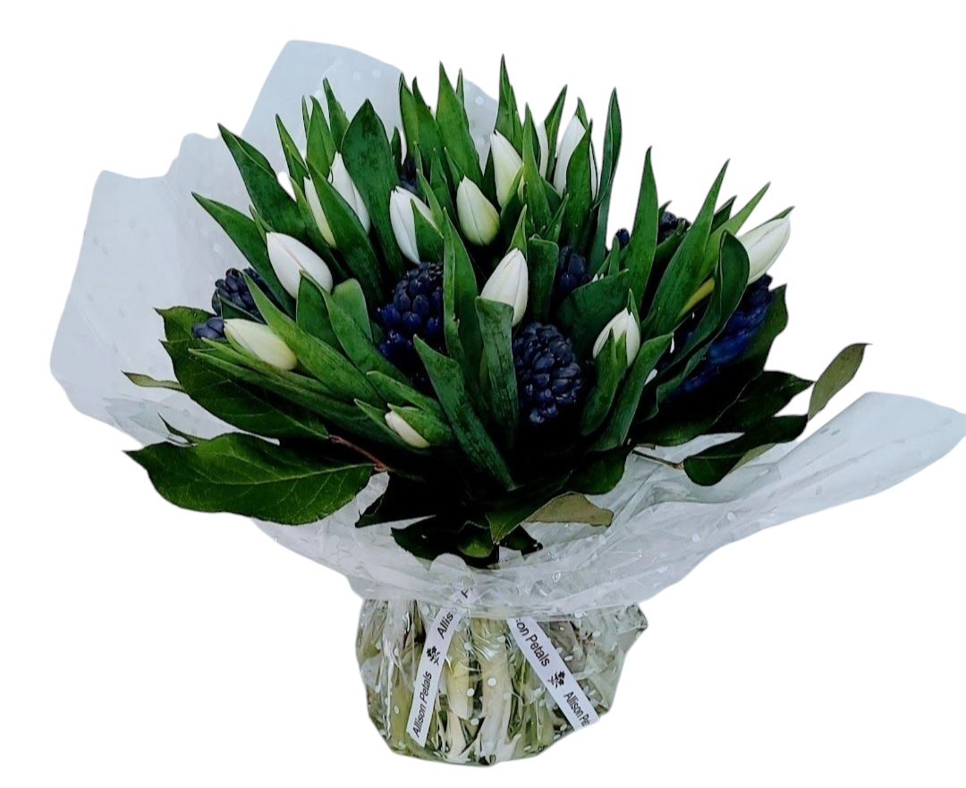 Blue Hyacinths and white Tulips