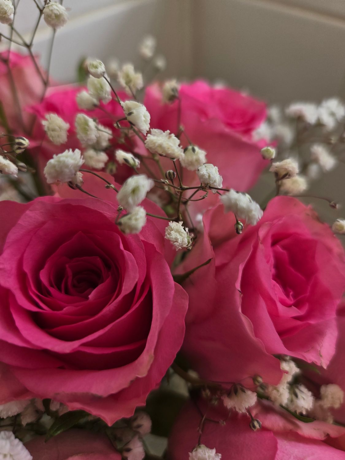 Pink Roses with Gyposophila