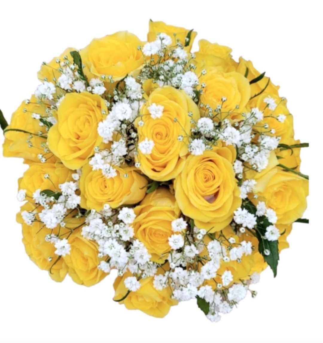 Yellow Roses