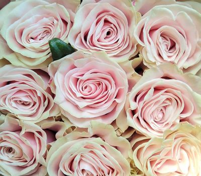 Customer Choice Customer Choice