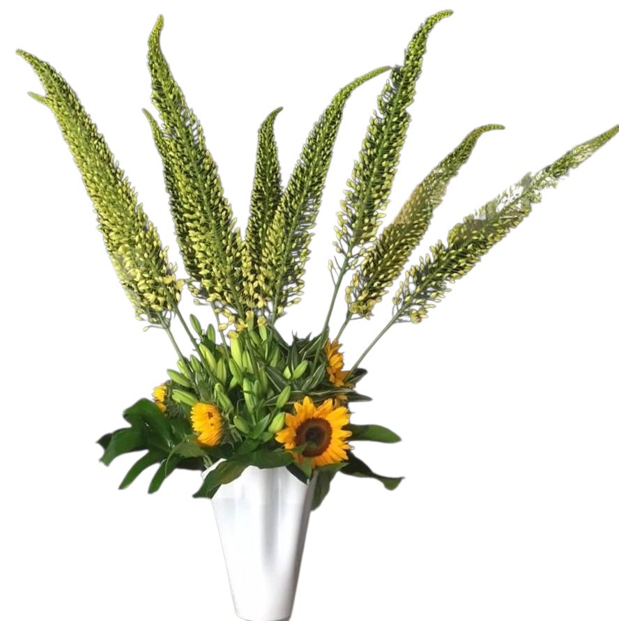 Flowers For Event