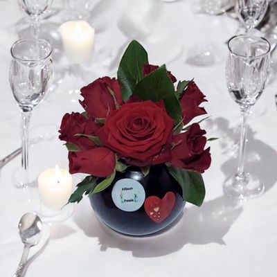 Roses in the Darkness Roses in the Darkness