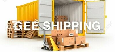 Hiring GEE SHIPPING to load Your Container and secure your goods in a (20') container.