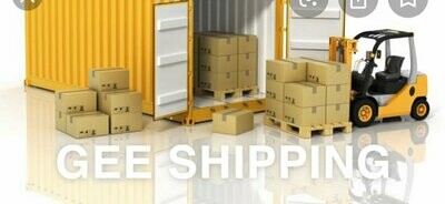 Hiring GEE SHIPPING to load Your Container and secure your goods in a (40') container.