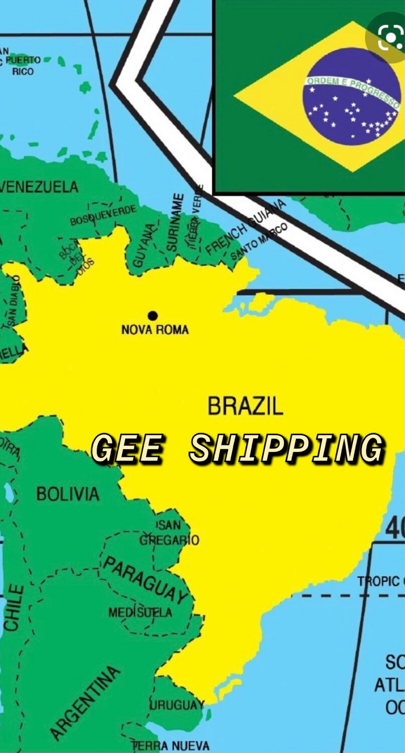 Buy And Ship (1) One Barrel To BRAZIL. Rio De Janerio Port or São Paulo Port.     Price includes (barrel and Locks is included).