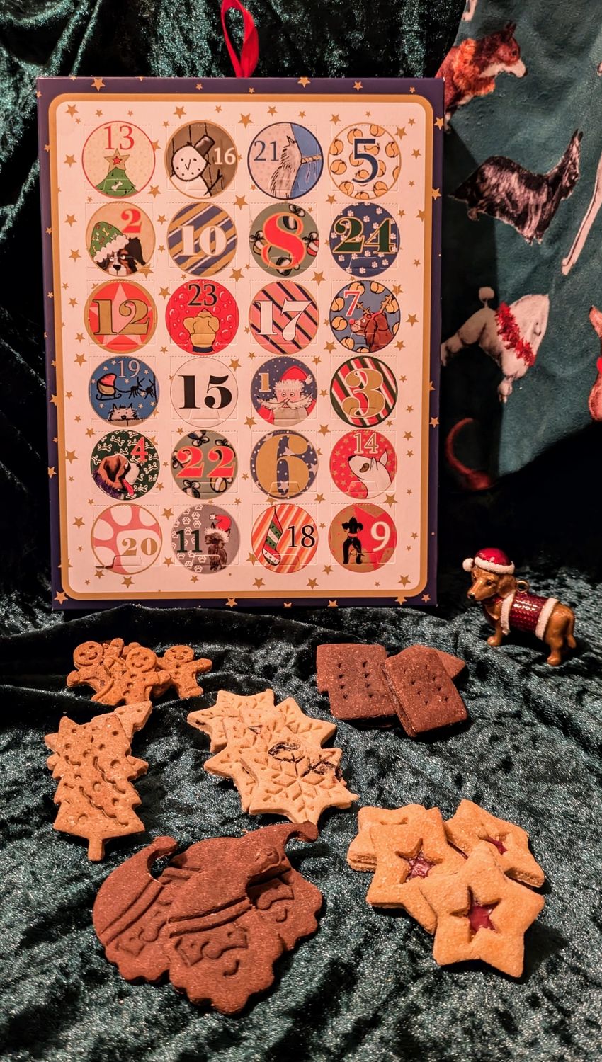 Christmas Advent Calendar