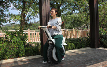 big wheel e bike