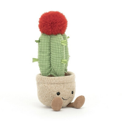 Amuseable Moon Cactus