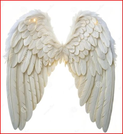 Angel Awareness and Meditation Workshop - friday 18th Sept 2026  7.00pm