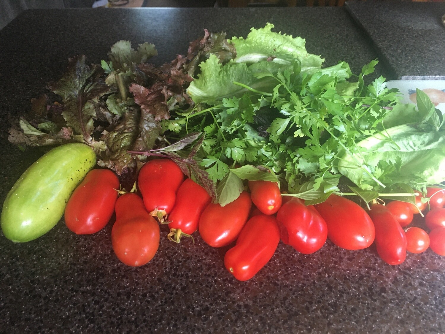 Fresh Vegetable