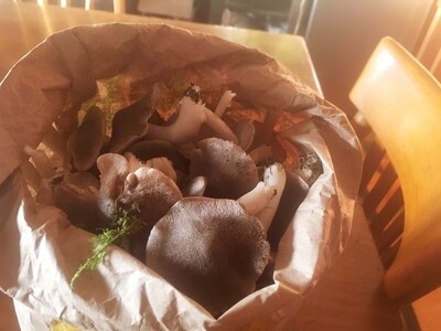 Dried Mushroom