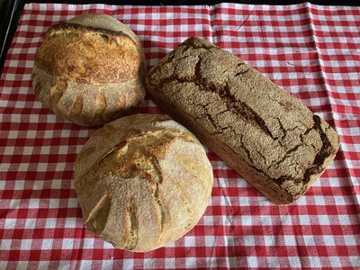 Sourdough Loaf