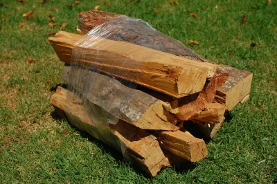 Bundle of firewood
