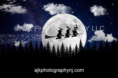 Witch In Moon Silhouette Digital Backdrop, for 2 larger subjects or 3 smaller subjects, halloween background by Eric Miele from AJK Photography Witch In Moon Silhouette Digital Backdrop, for 2 larger subjects or 3 smaller subjects, halloween background by Eric Miele from AJK Photography