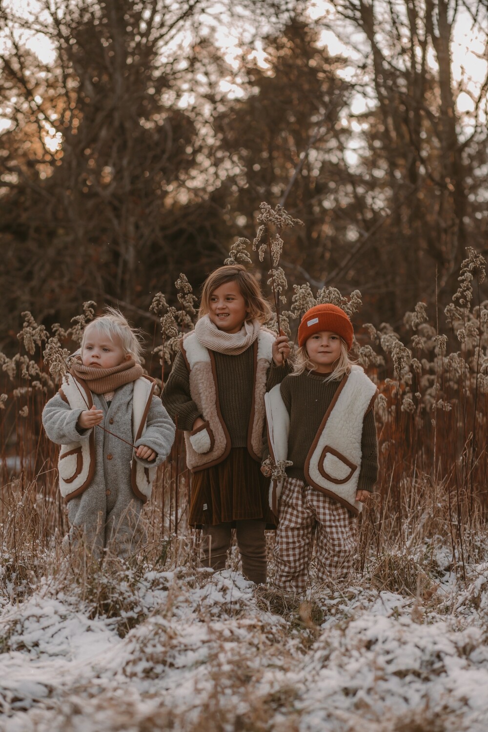 Winter sun