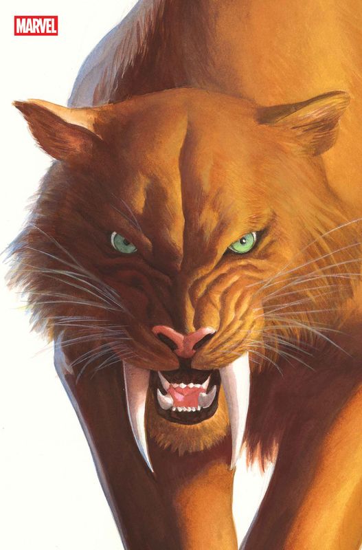BLACK CAT #2 ALEX ROSS TIMELESS VIRGIN VARIANT BLACK CAT #2 ALEX ROSS TIMELESS VIRGIN VARIANT