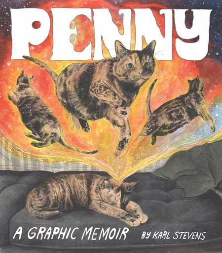 PENNY A GRAPHIC MEMOIR TP