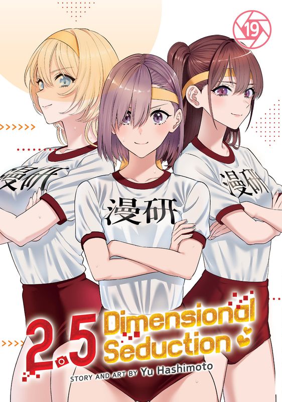 2.5 Dimensional Seduction Vol. 19 TPB