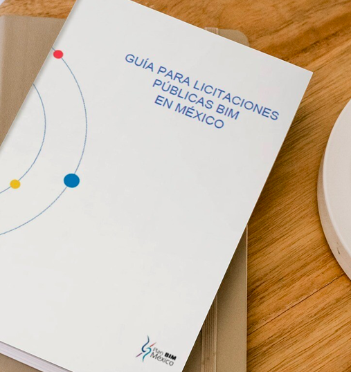 GUIA PARA LICITACIONES PUBLICAS BIM EN MEXICO