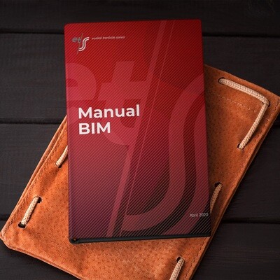 MANUAL BIM