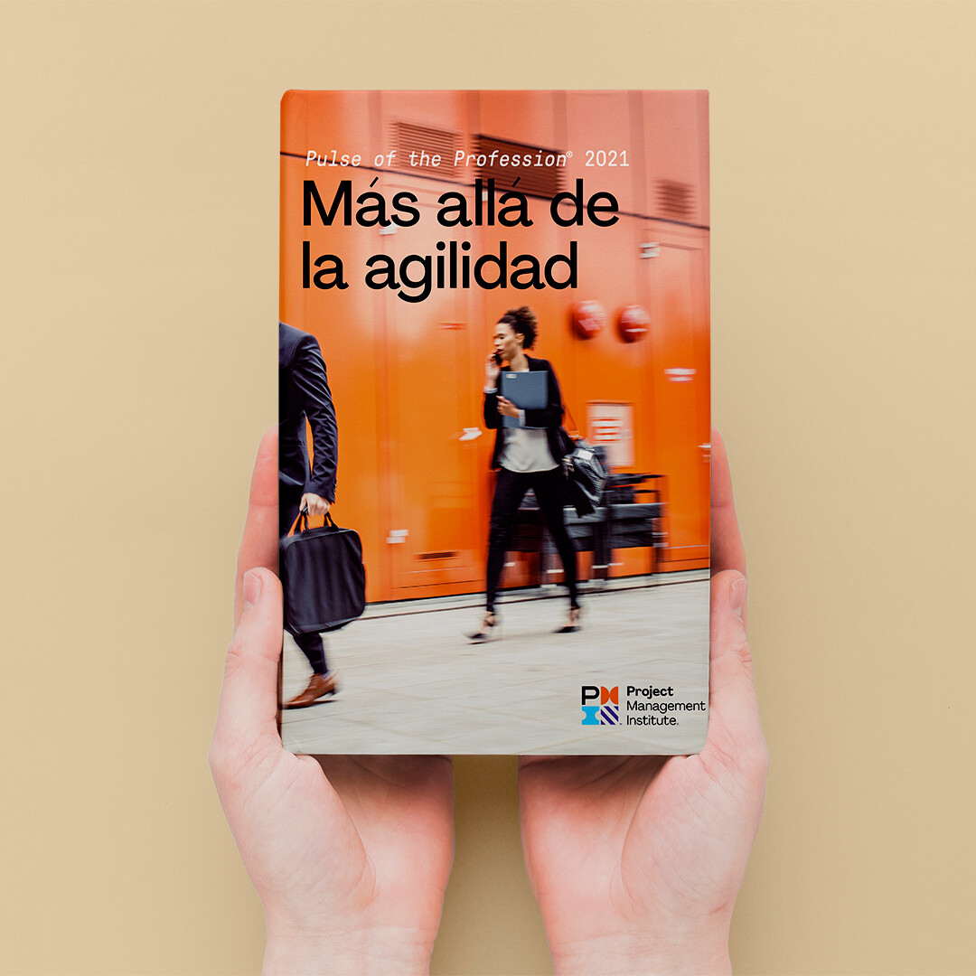 MAS ALLA DE LA AGILIDAD - Cómo utilizar el pensamiento Lean para eliminar los despilfarros y crear valor para la empresa.