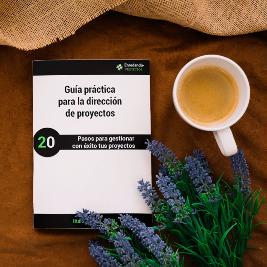 Guía práctica para la dirección de proyectos: 20 pasos para gestionar con éxito tus proyectos
