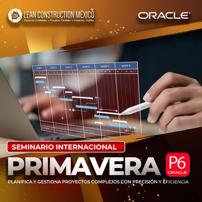 Seminario Internacional: Primavera P6